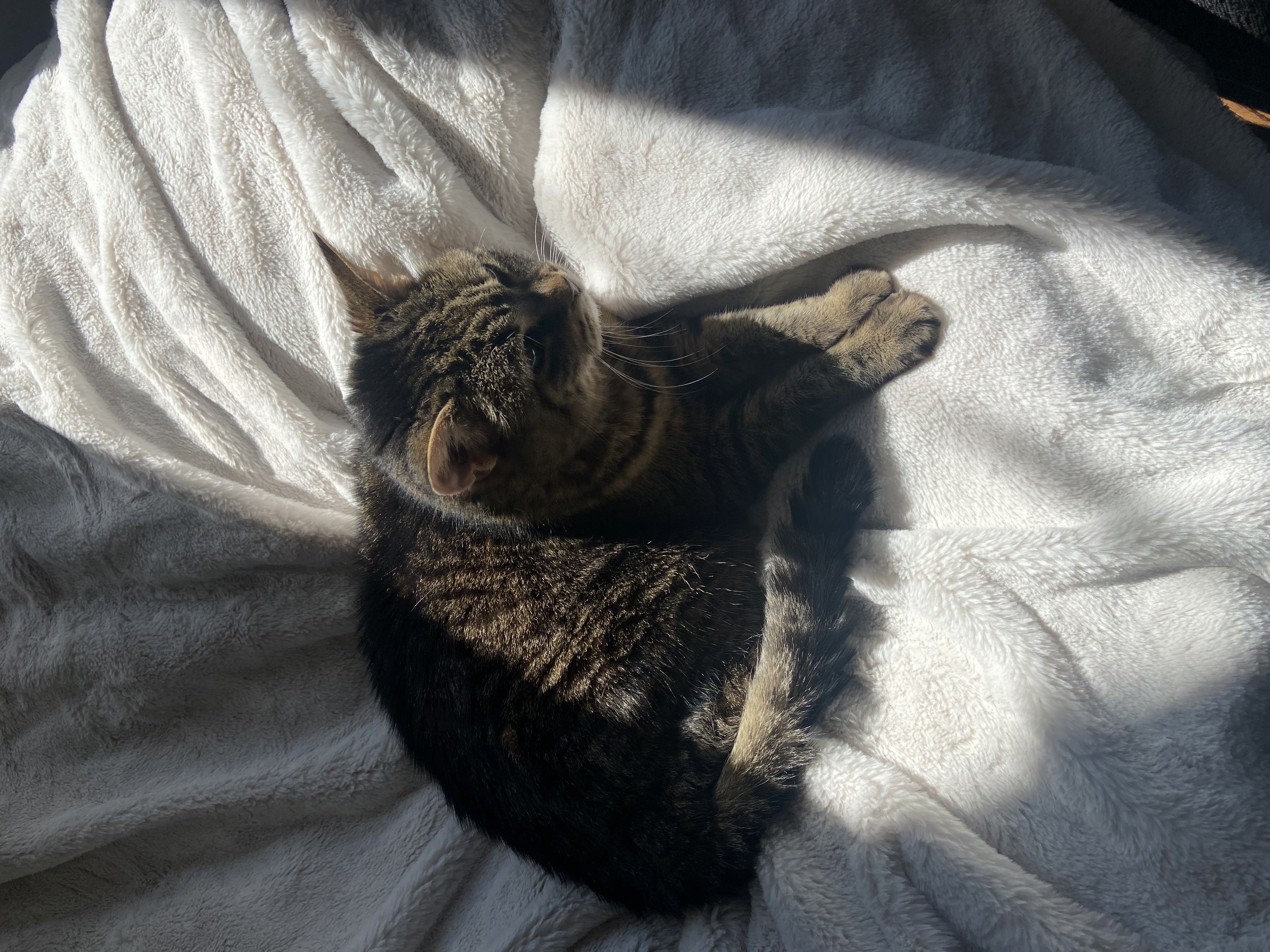 Meeka