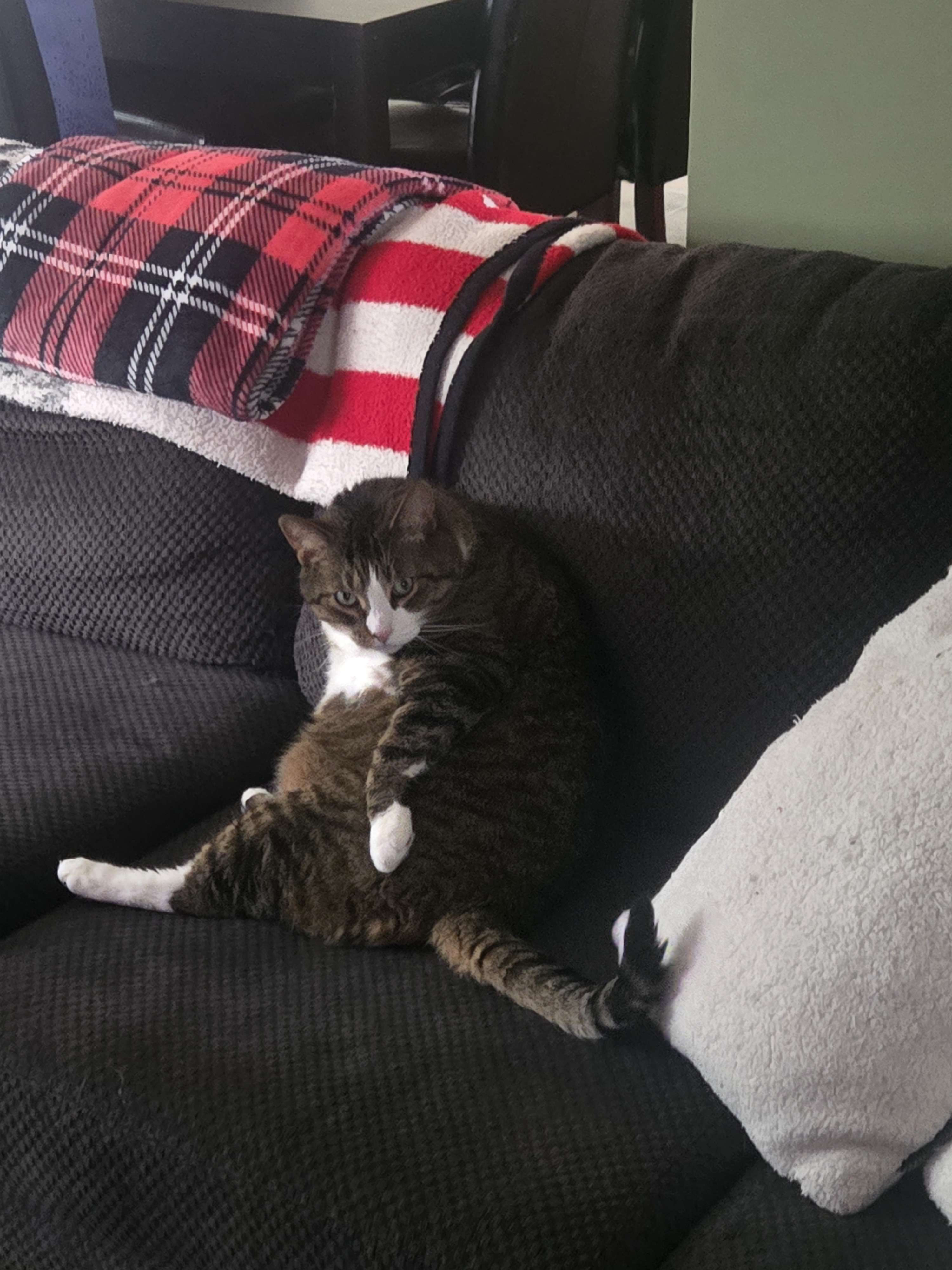Samson